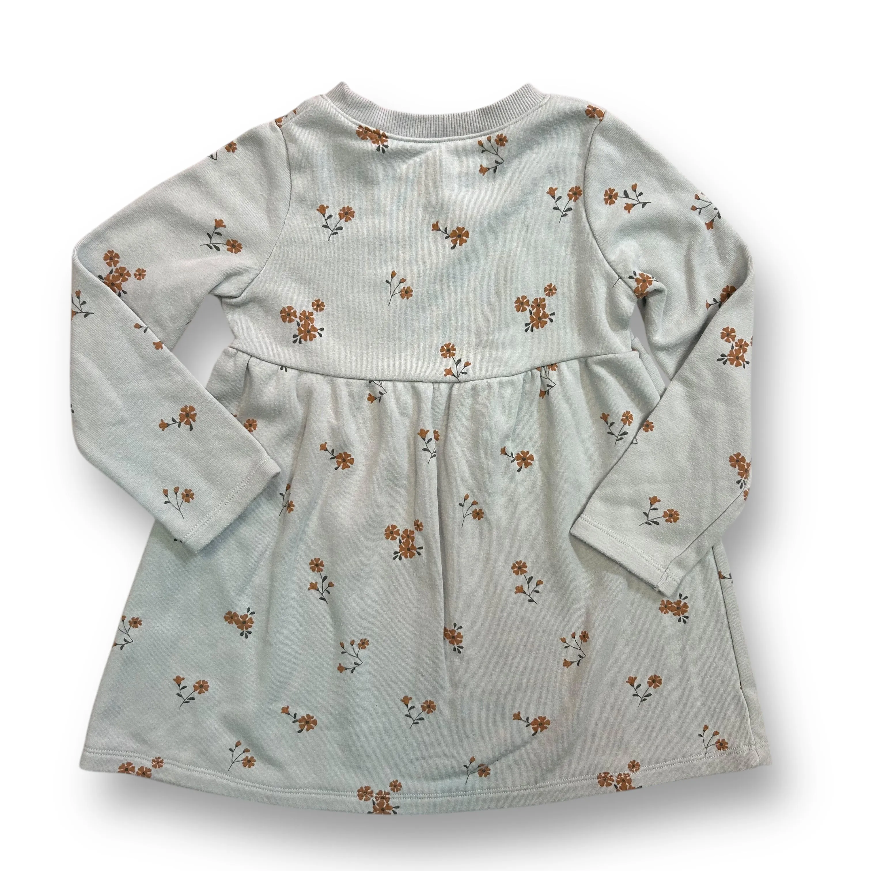 Girls Lauren Conrad Size 4T Blue Floral Fleece Lined Long Sleeve Dress