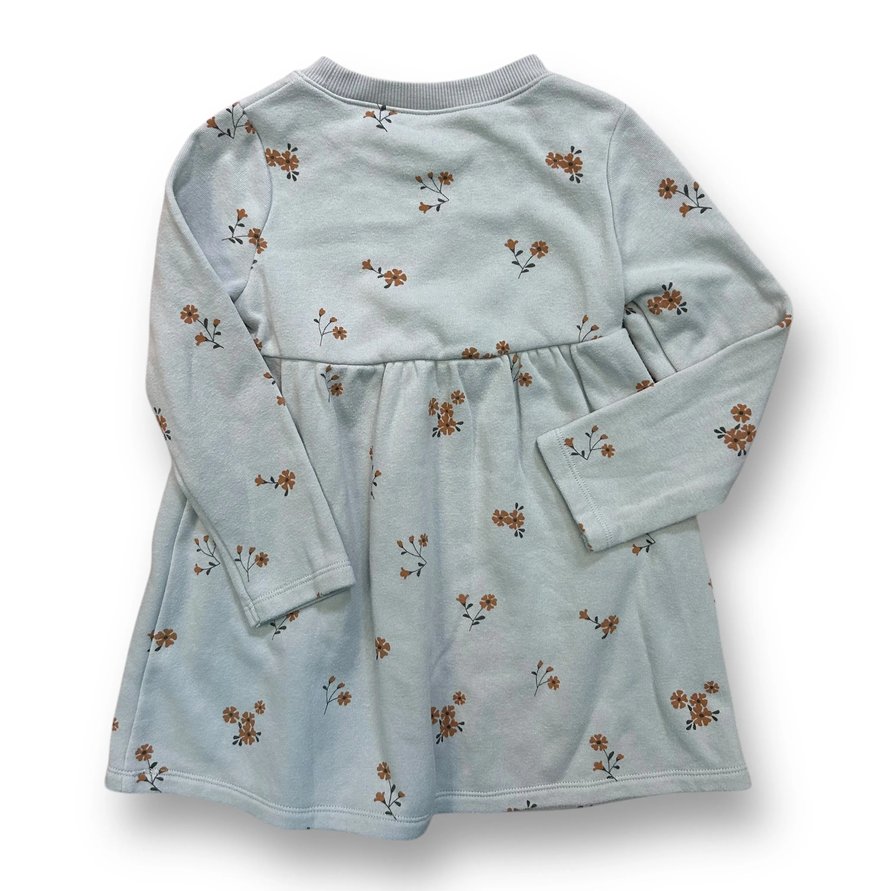Girls Little Co. Size 3T Light Blue Floral Fleece Lined Comfy Dress