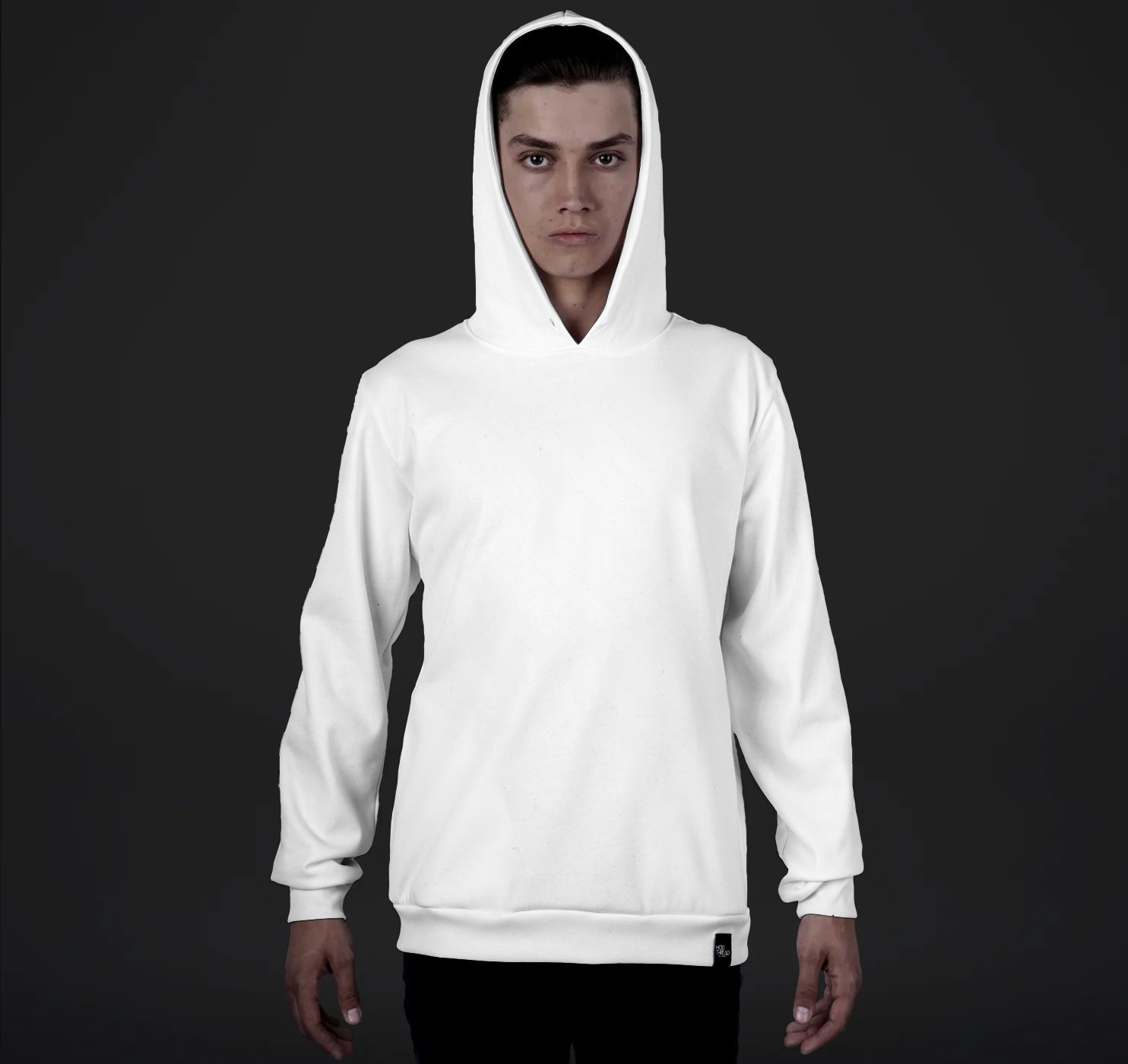 Mens, Pullover Hoodie Striped Overlay